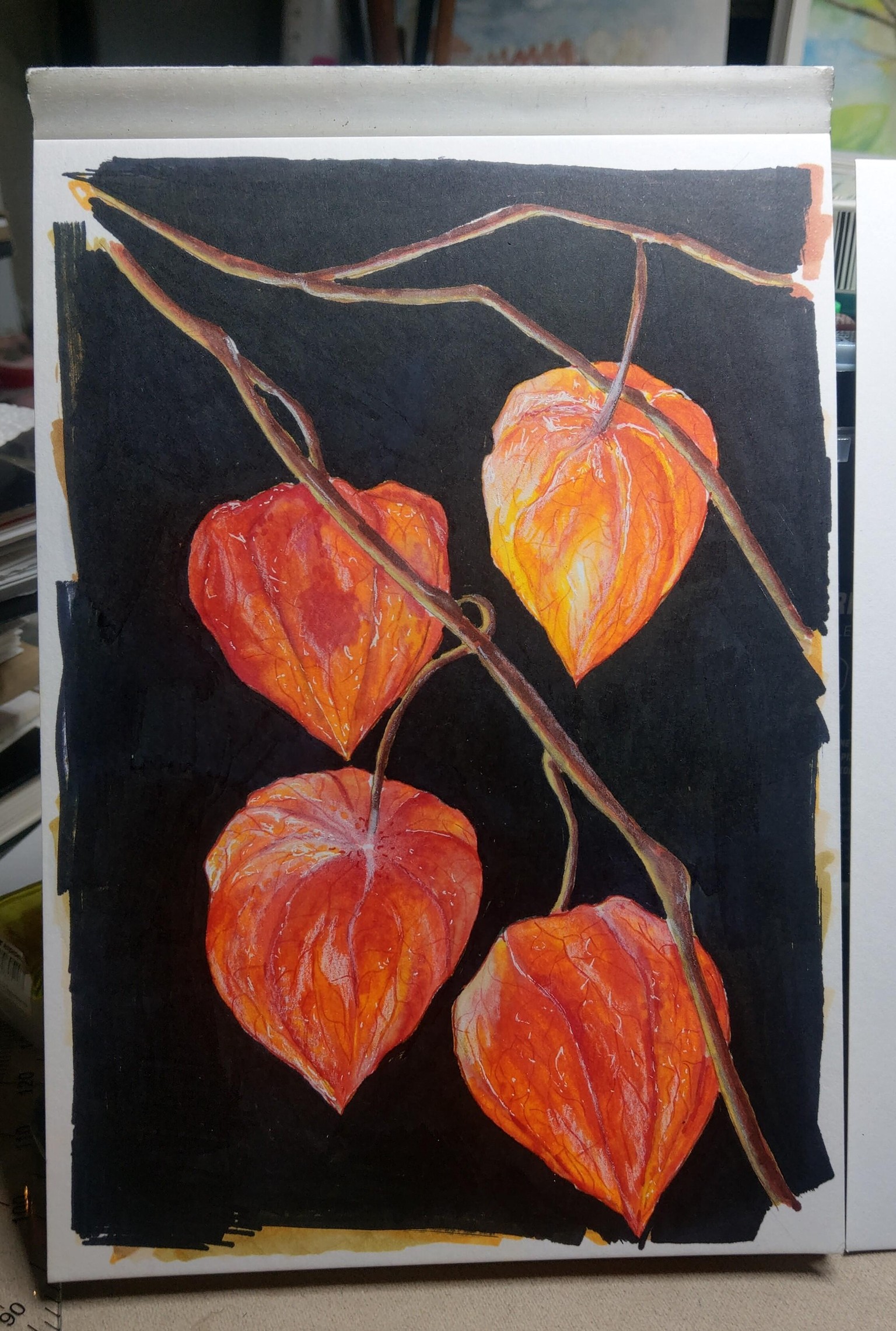 Markers: 100% Cotton (+Chinese Lantern Plant) - image 6 - student project