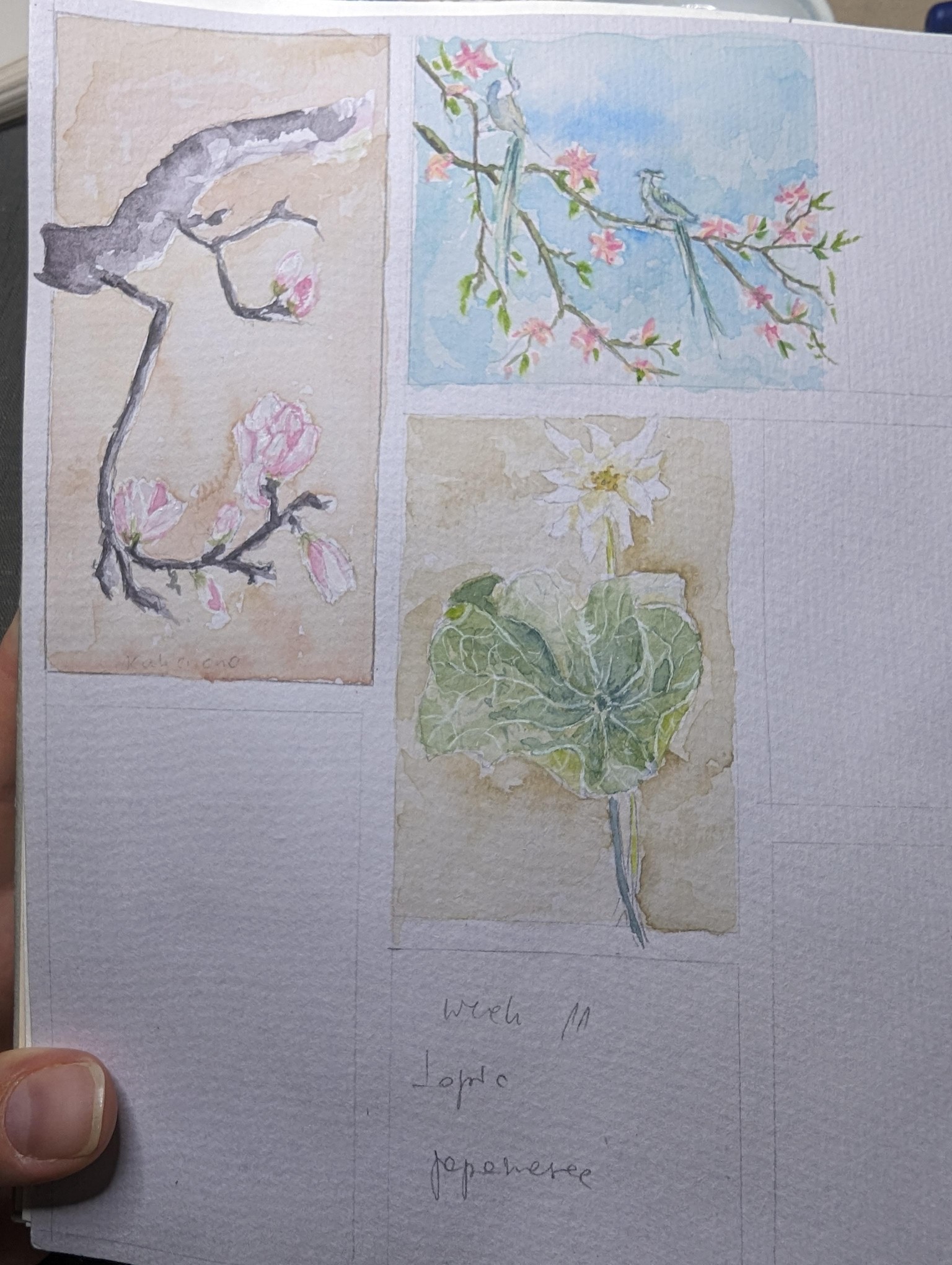 #100days - image 2 - student project