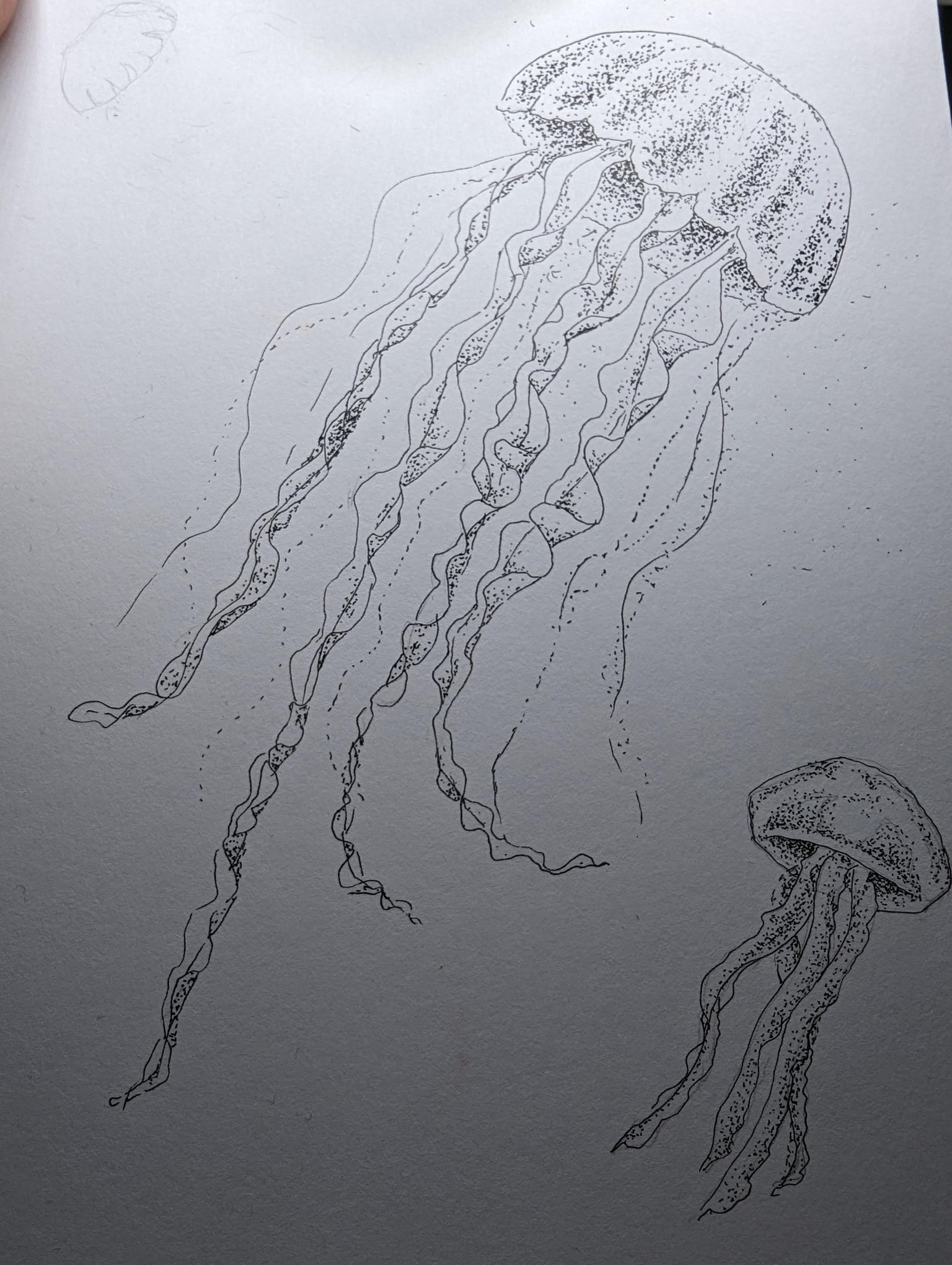 Relaxing dots - image 3 - student project