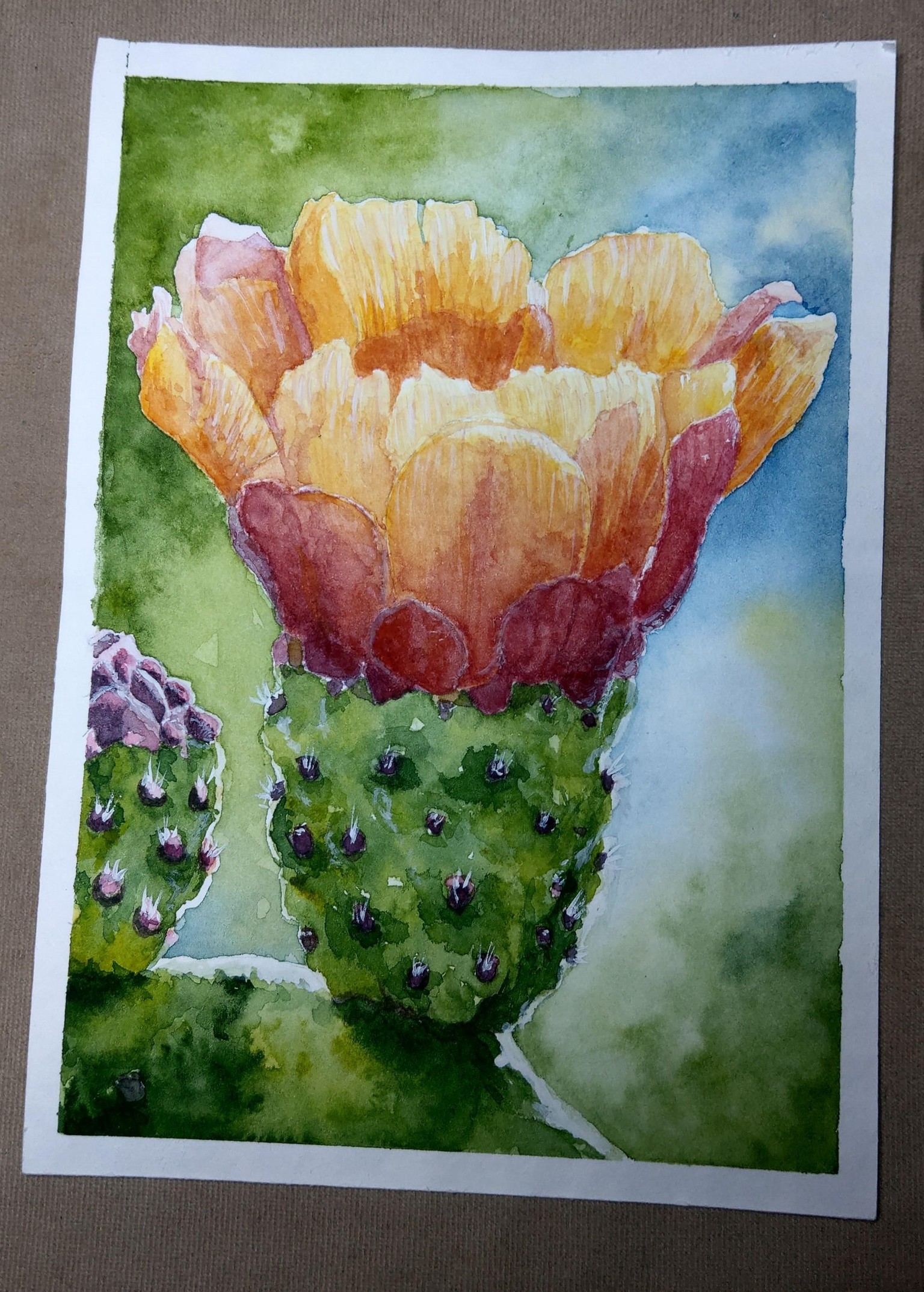 Opuntia Flower - image 1 - student project