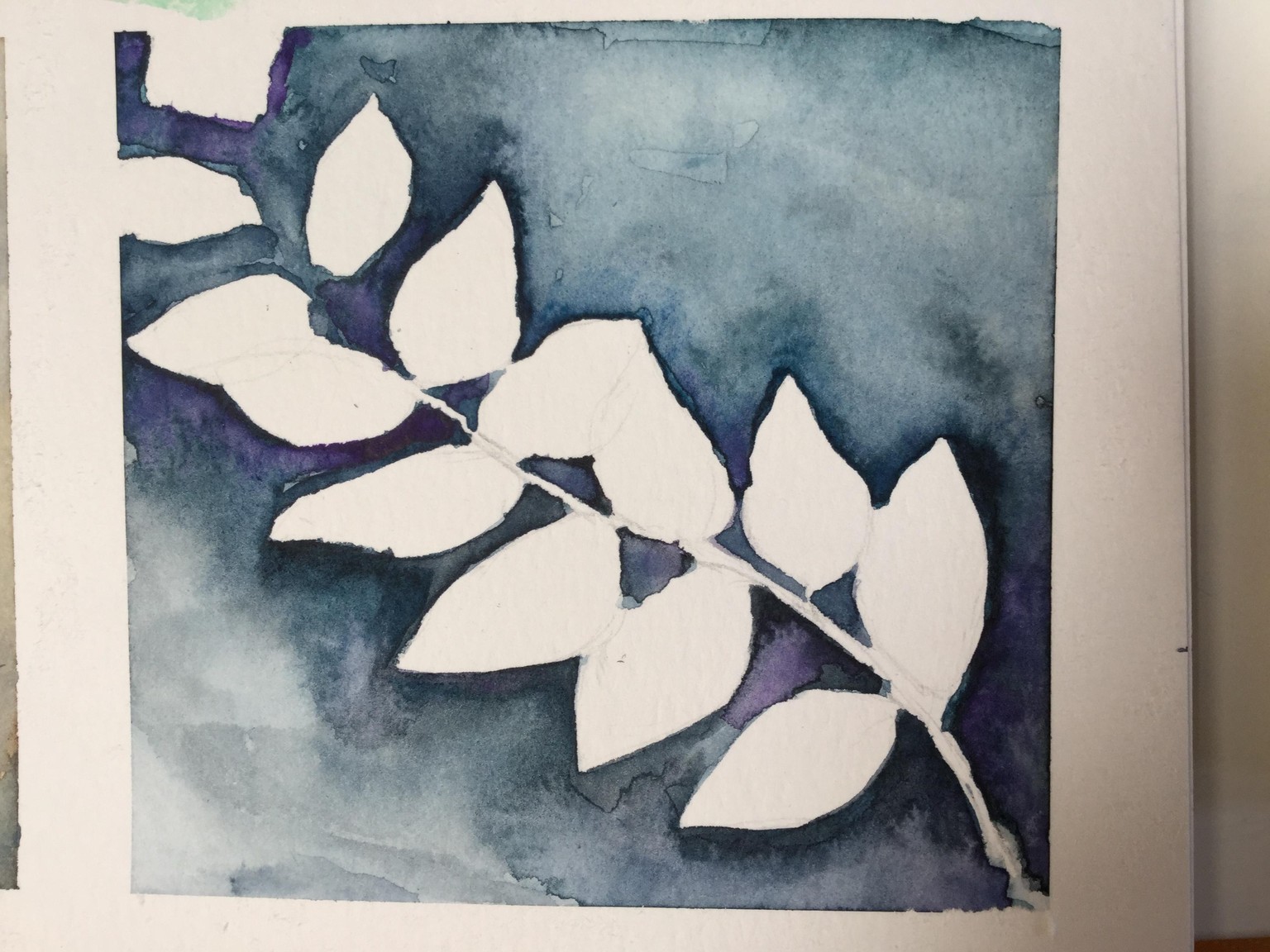 Botanicals in watercolour - image 2 - student project