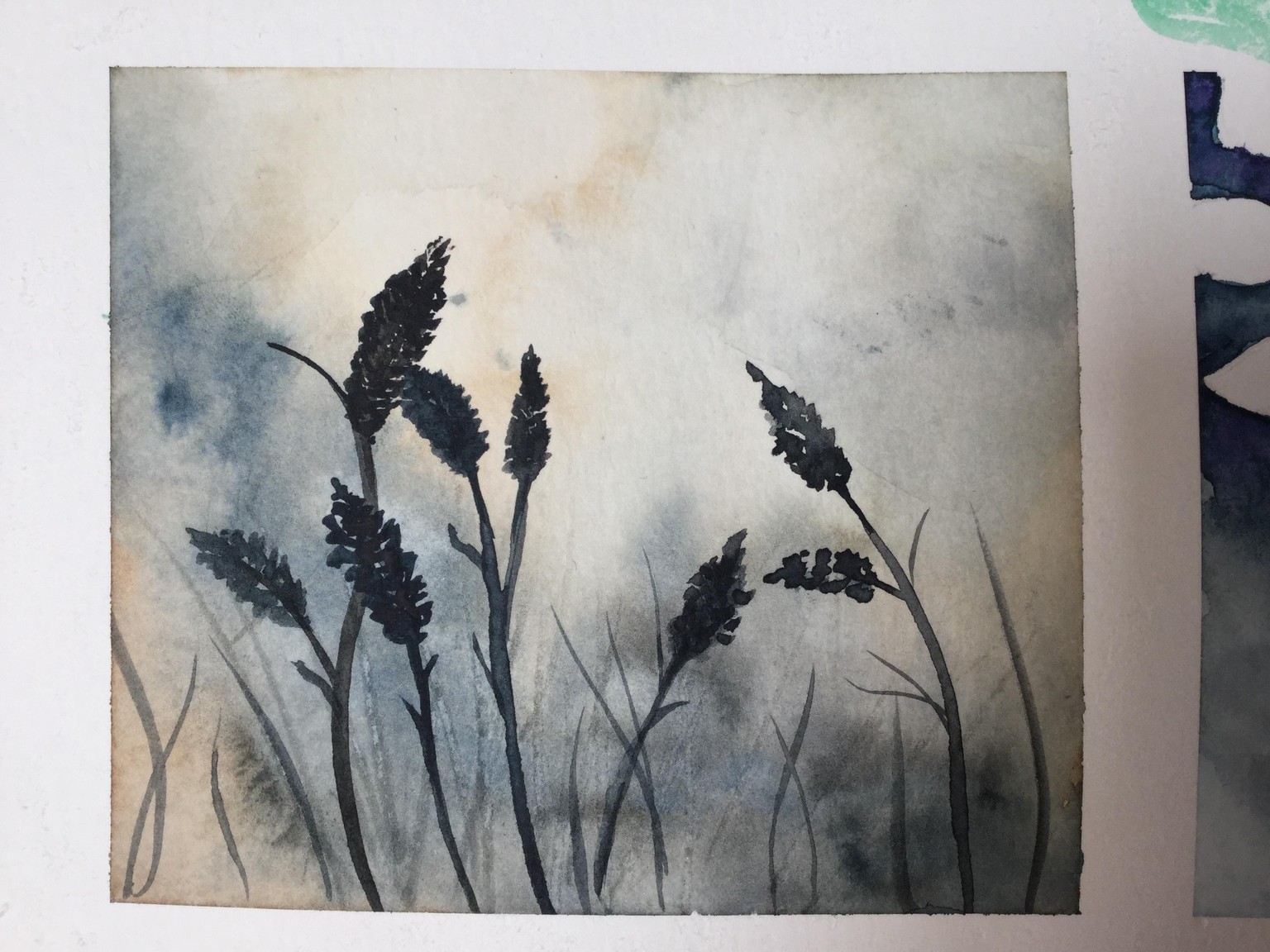 Botanicals in watercolour - image 1 - student project