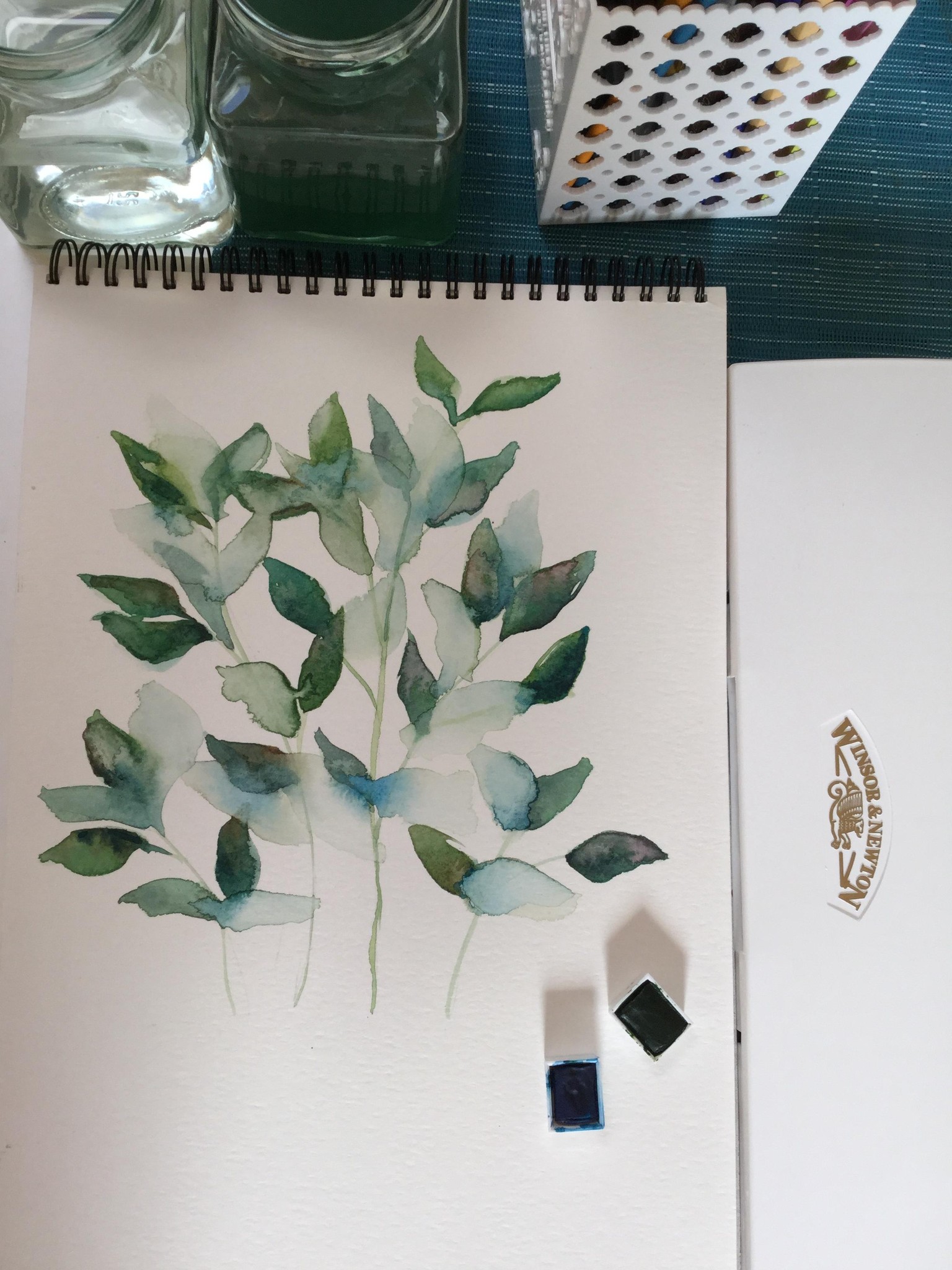 Botanicals in watercolour - image 3 - student project