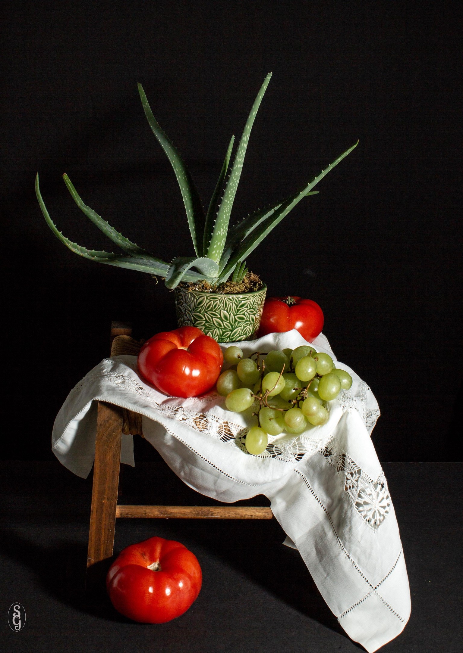 Aloe, et al - image 2 - student project