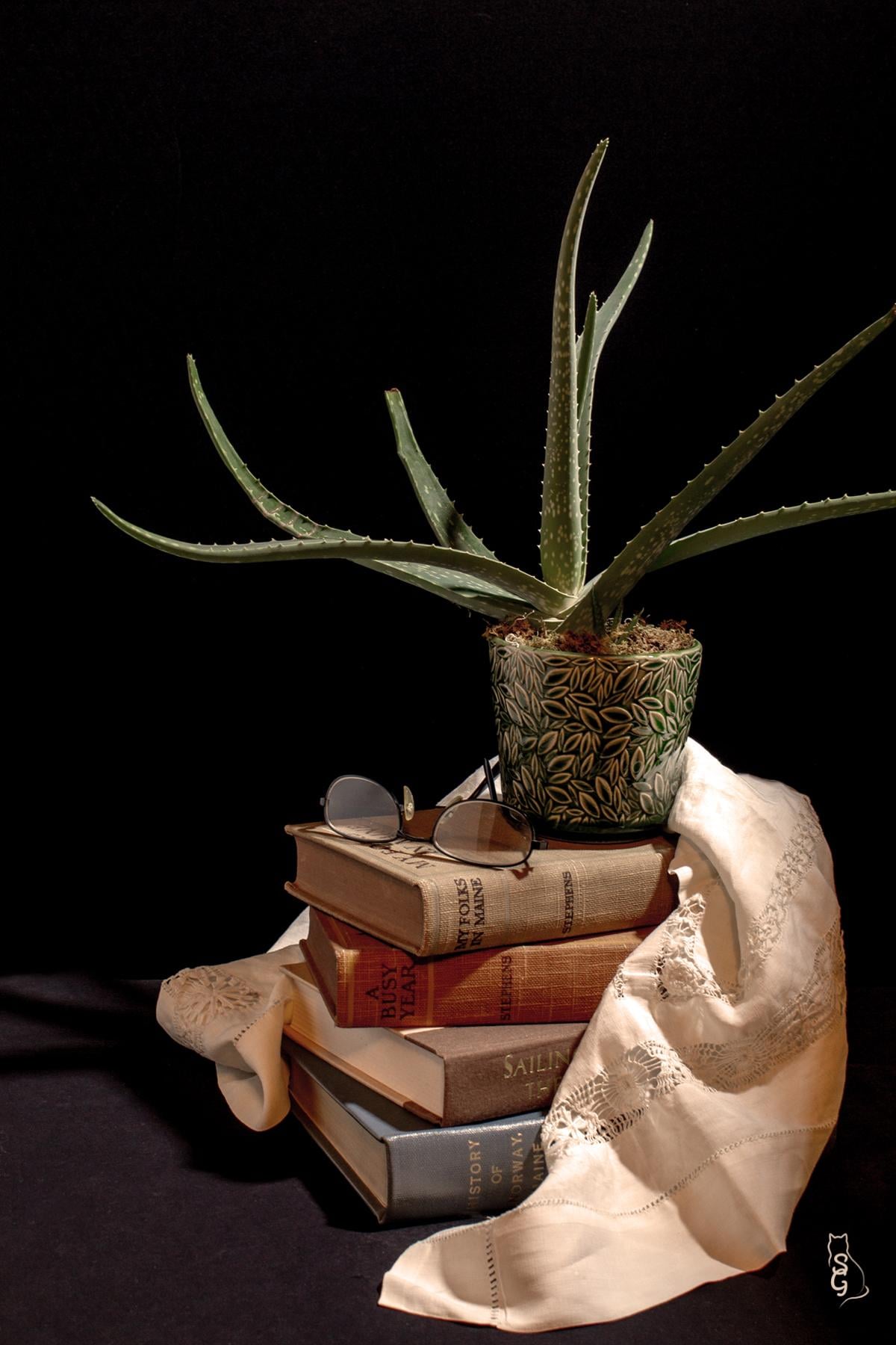 Aloe, et al - image 3 - student project