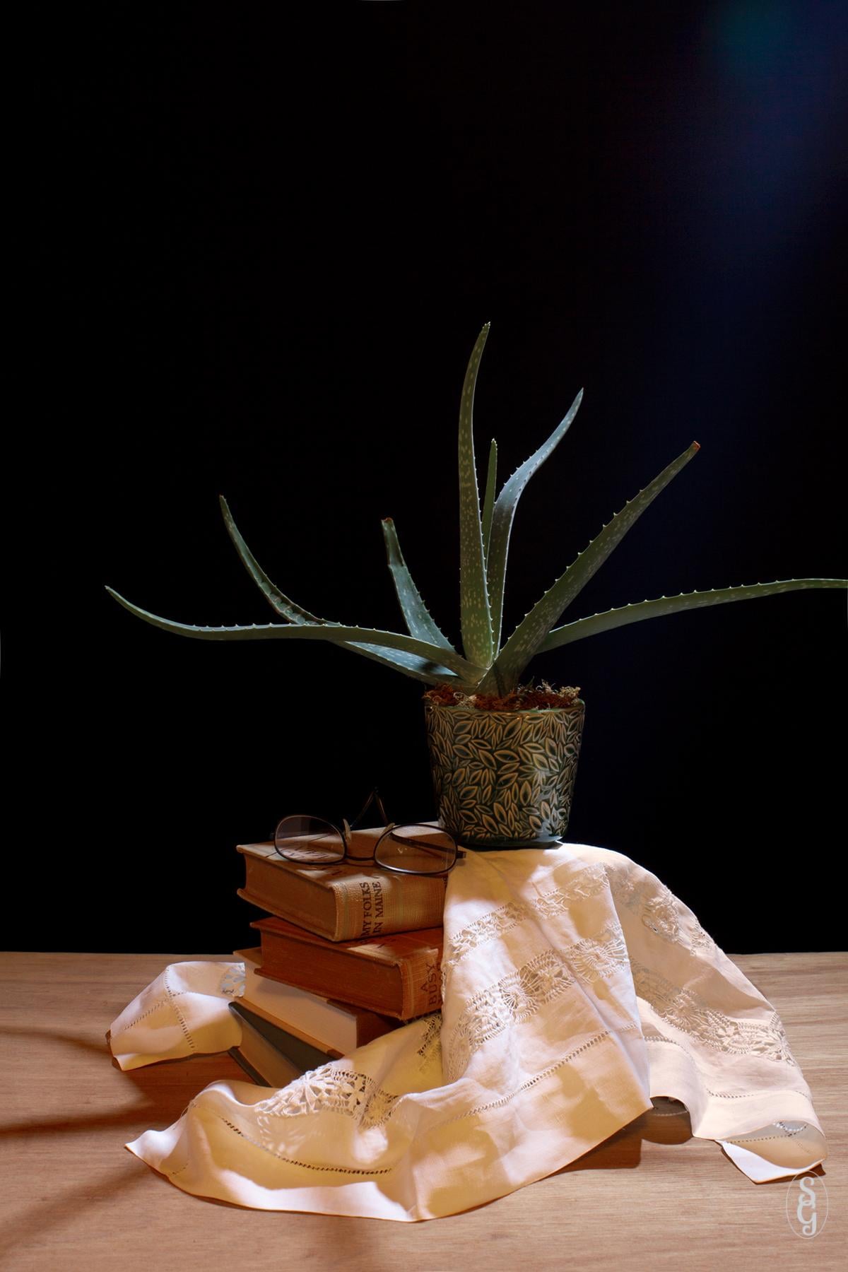 Aloe, et al - image 4 - student project
