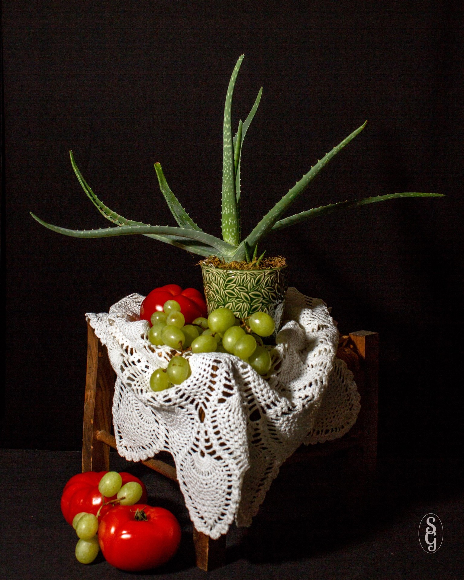 Aloe, et al - image 1 - student project