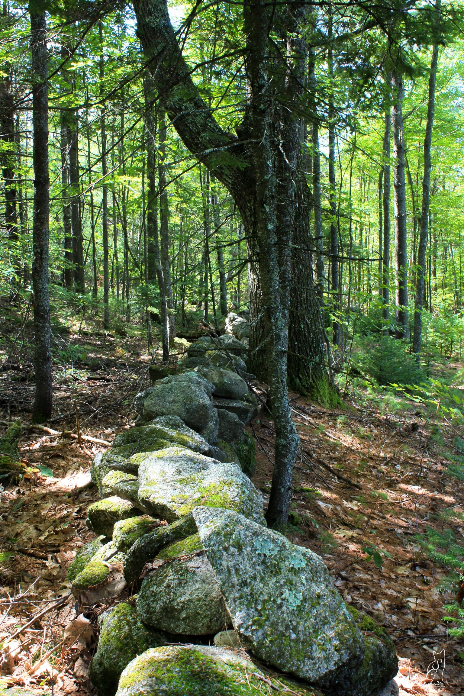 Stone Wall - image 2 - student project