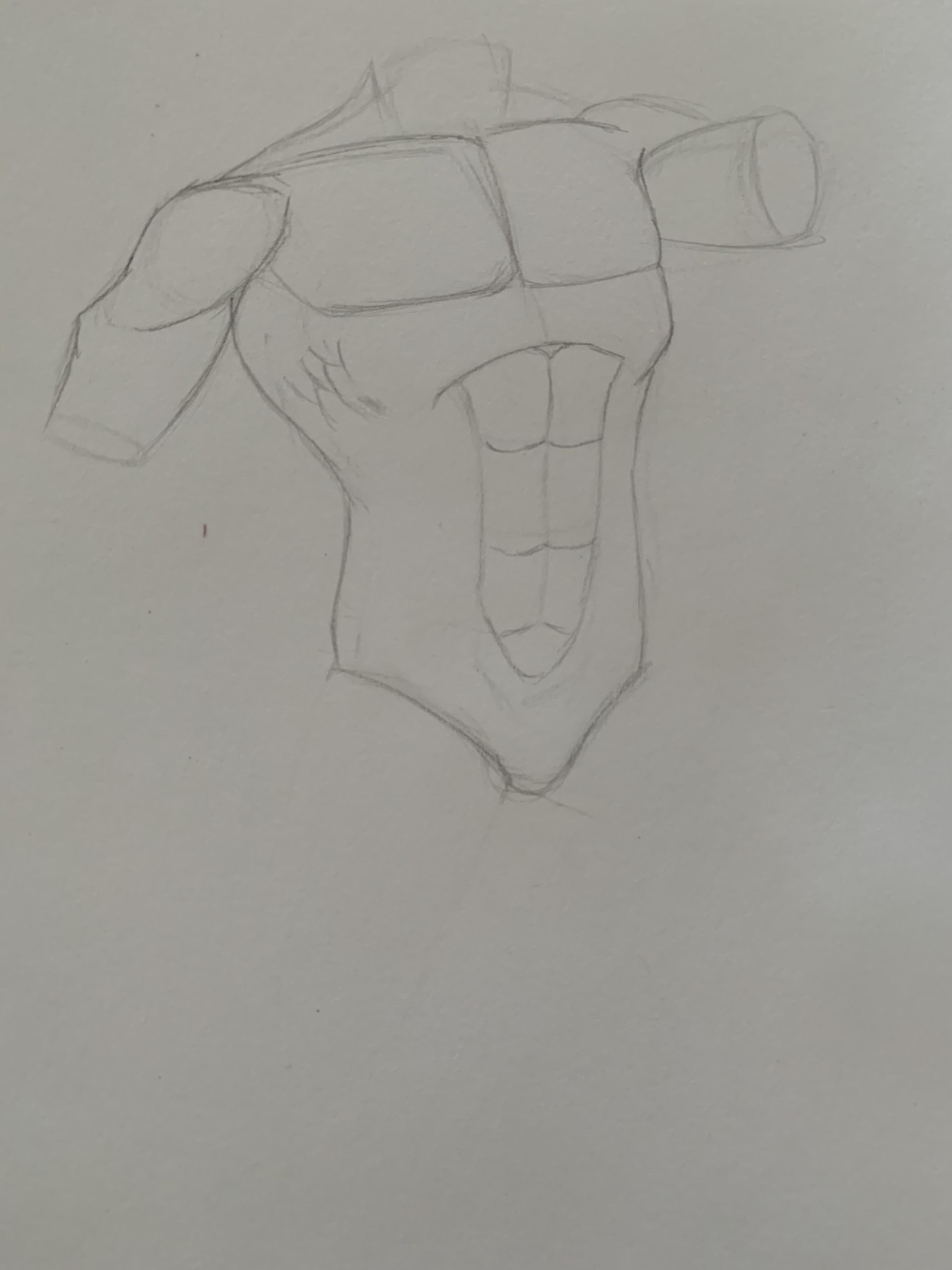 Torso Anatomy Project - image 5 - student project