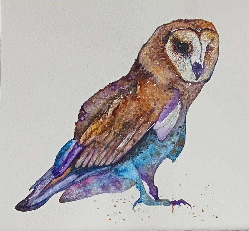 Colorful Owl - image 1 - student project
