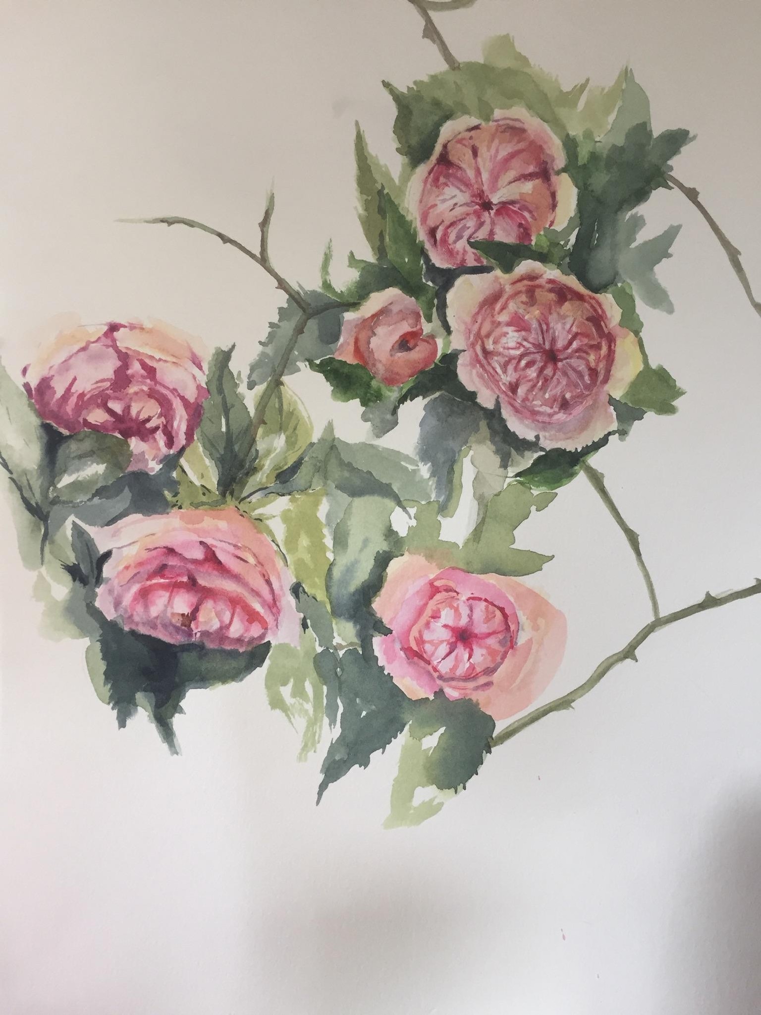 Ester Pecks teaching - image 1 - student project