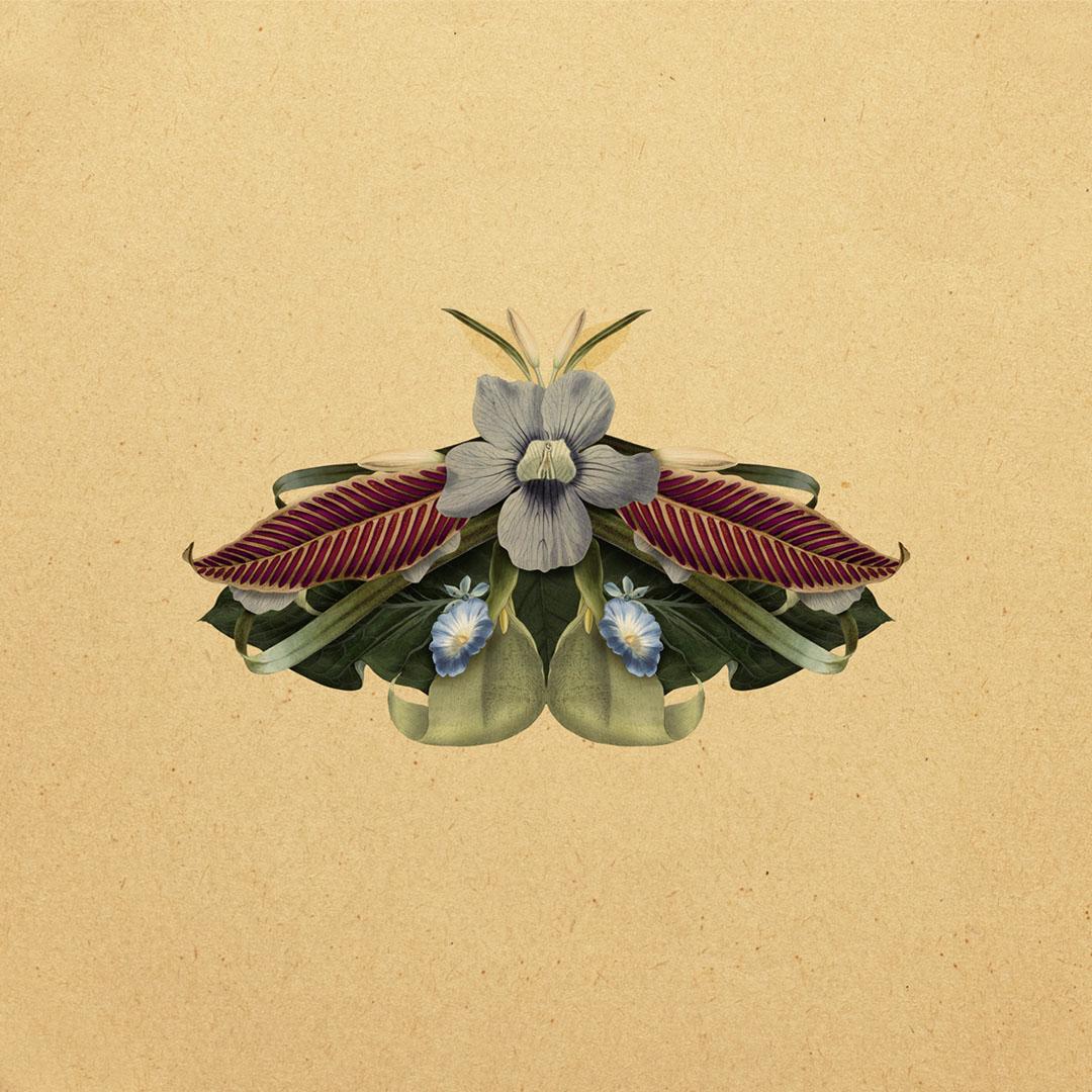 Botanical Creatures - image 3 - student project
