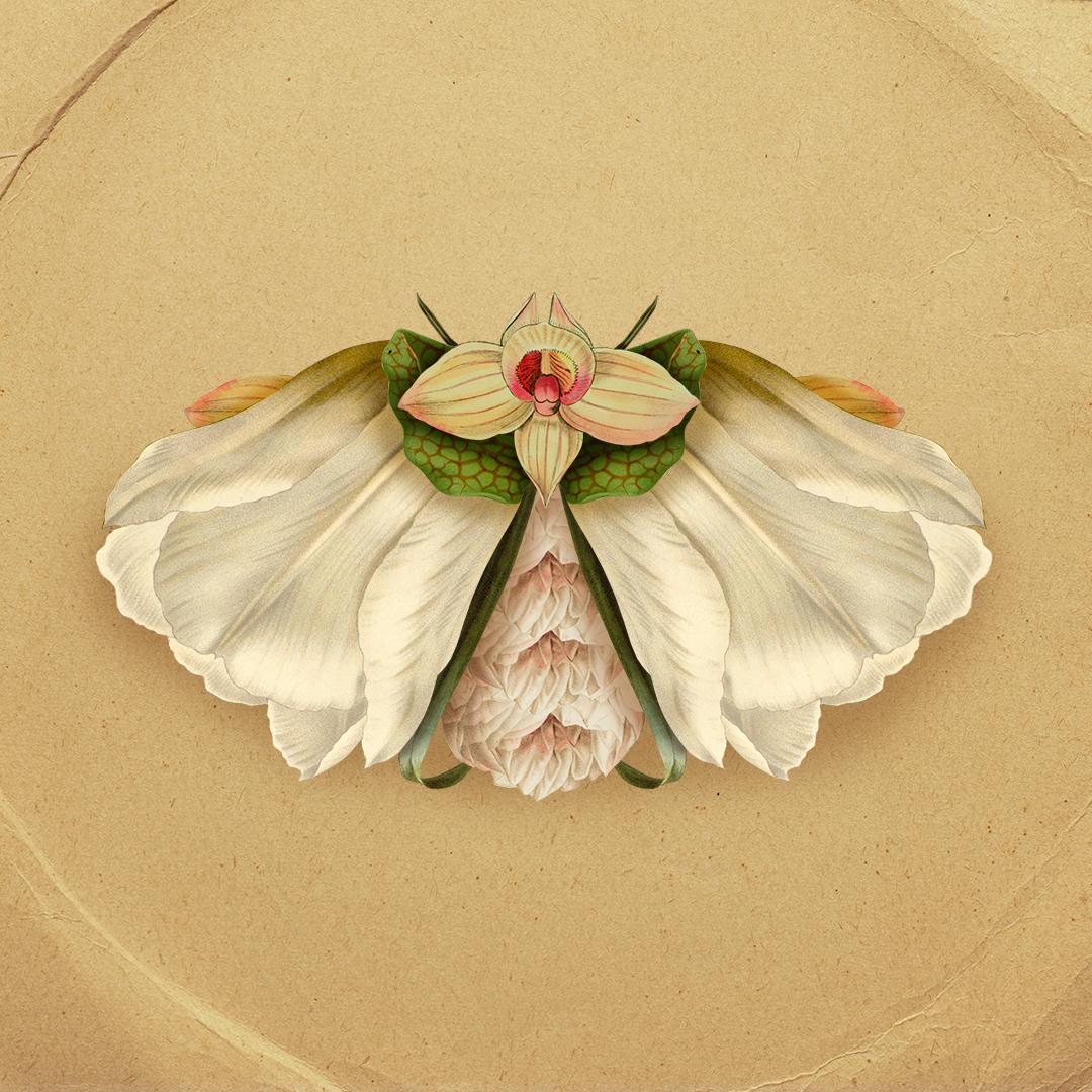 Botanical Creatures - image 2 - student project