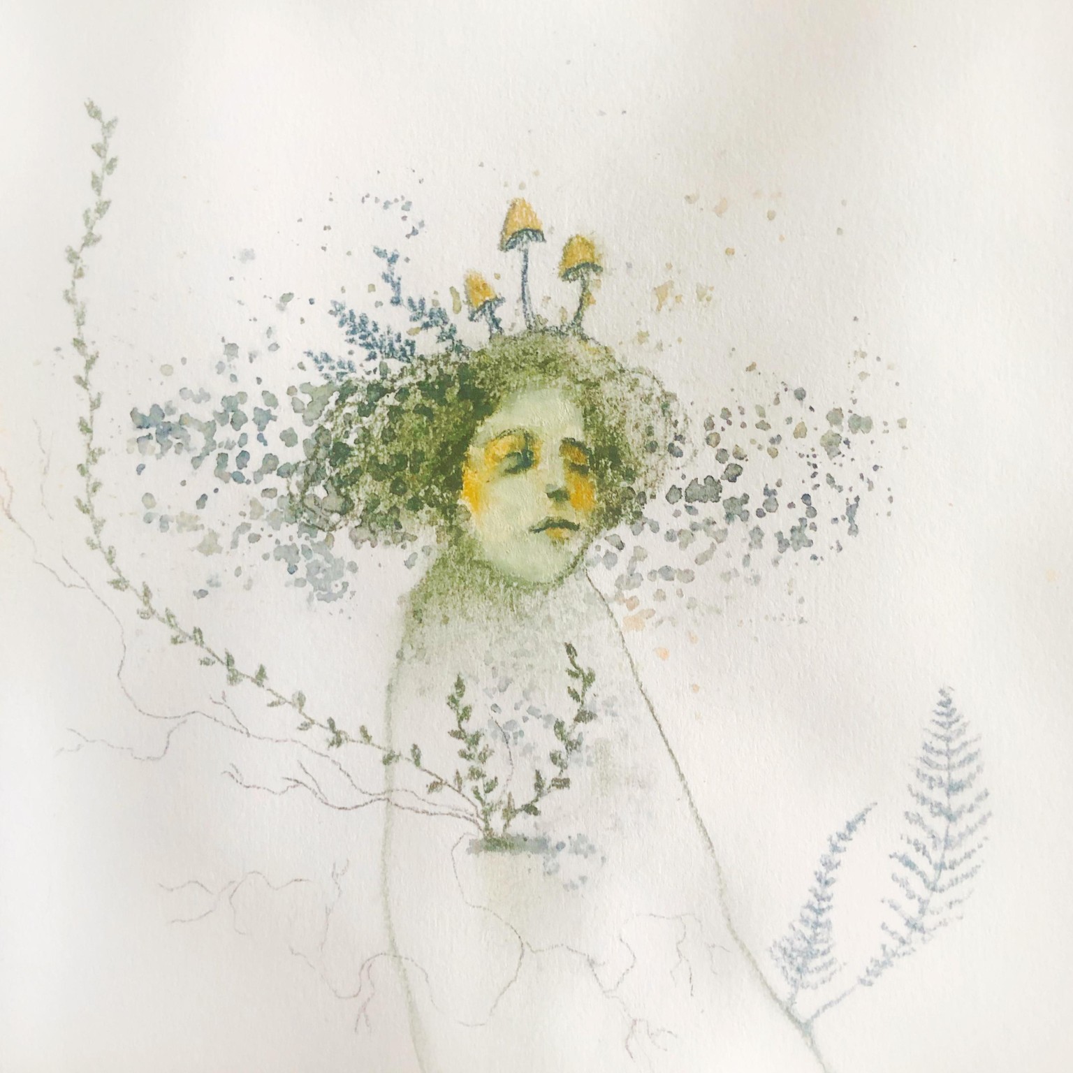 Plants in my pocket - image 1 - student project