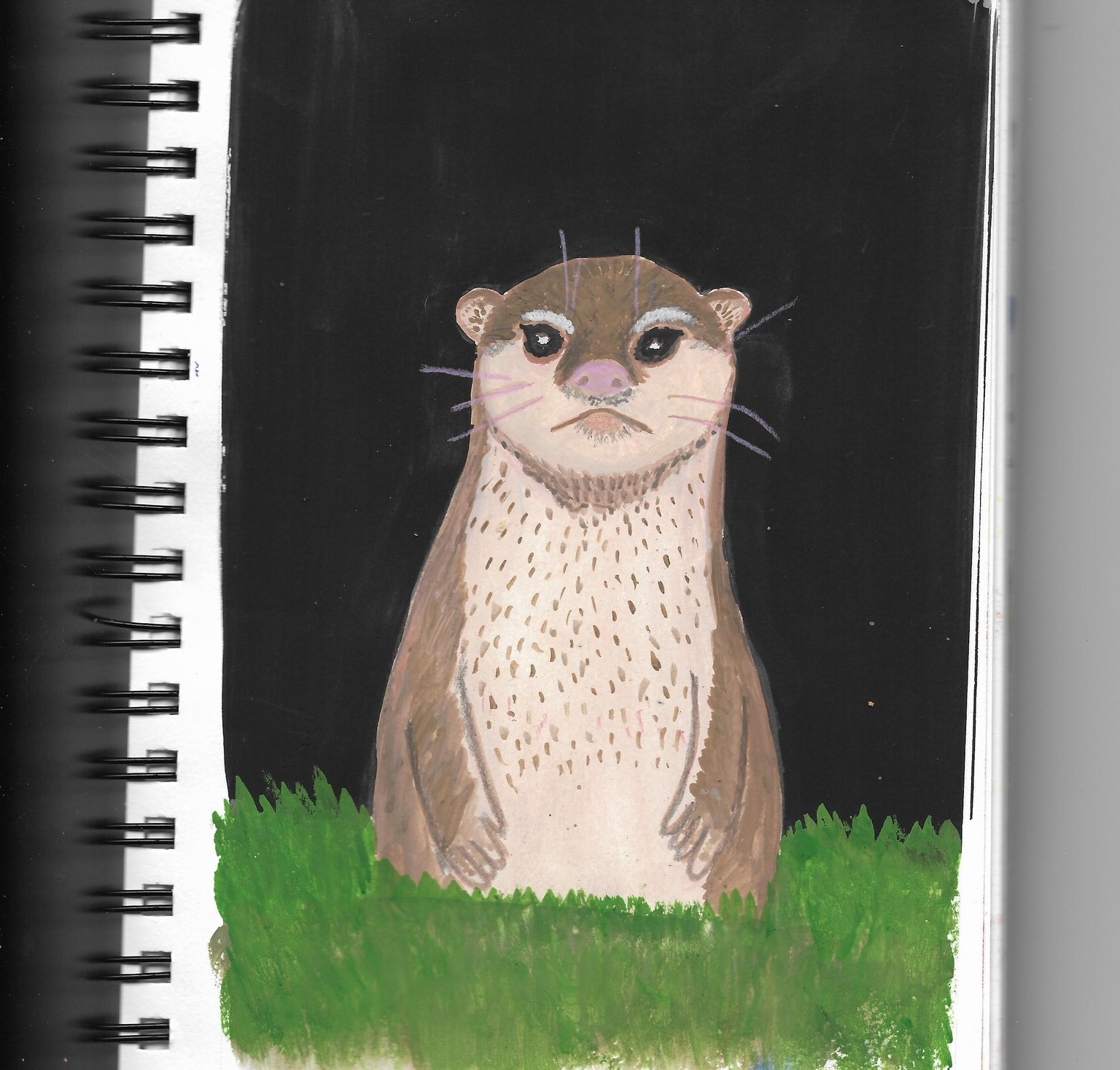 Otter - image 1 - student project