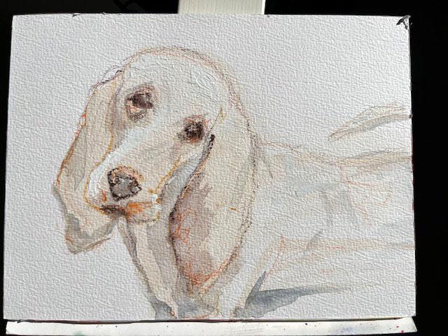 Learning to draw without fear - image 2 - student project
