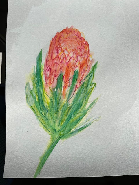 Learning to draw without fear - image 1 - student project