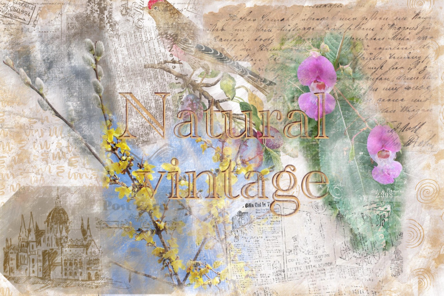 Vintage collage - image 2 - student project