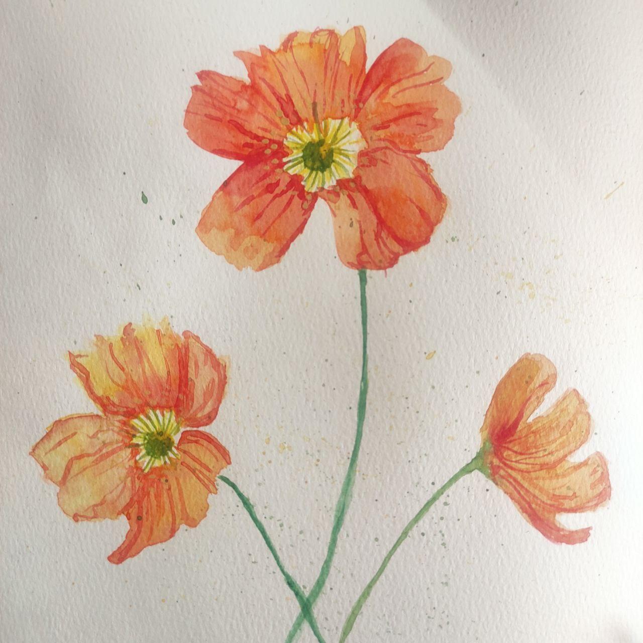 7-Day Watercolor Floral Challenge - image 1 - student project