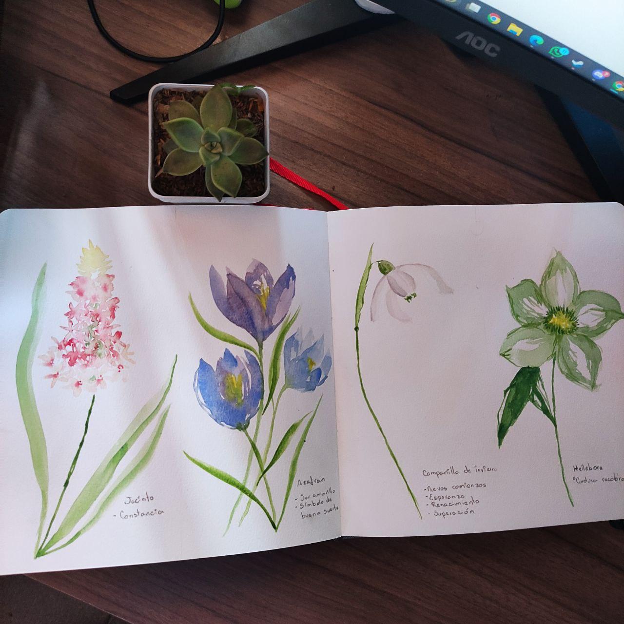 Easiest Watercolor Flowers Loose Style - image 2 - student project