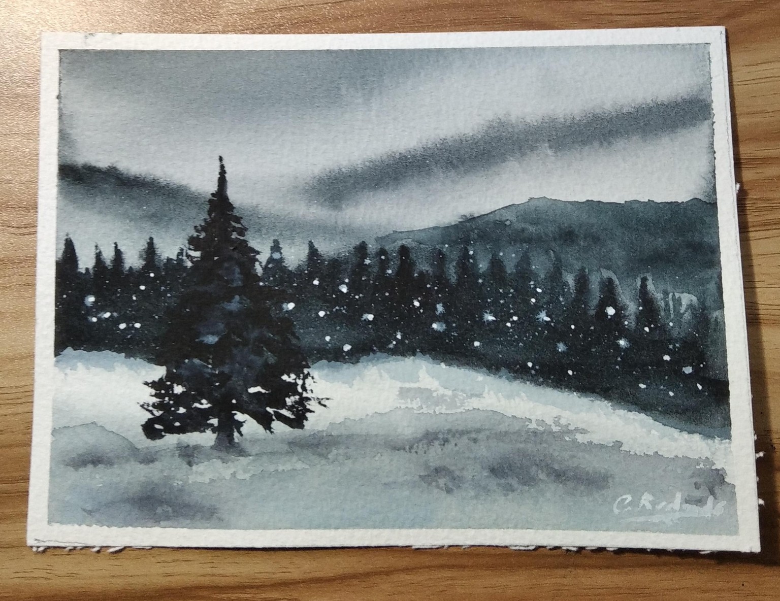 PAISAJES BRUMOSOS - image 9 - student project