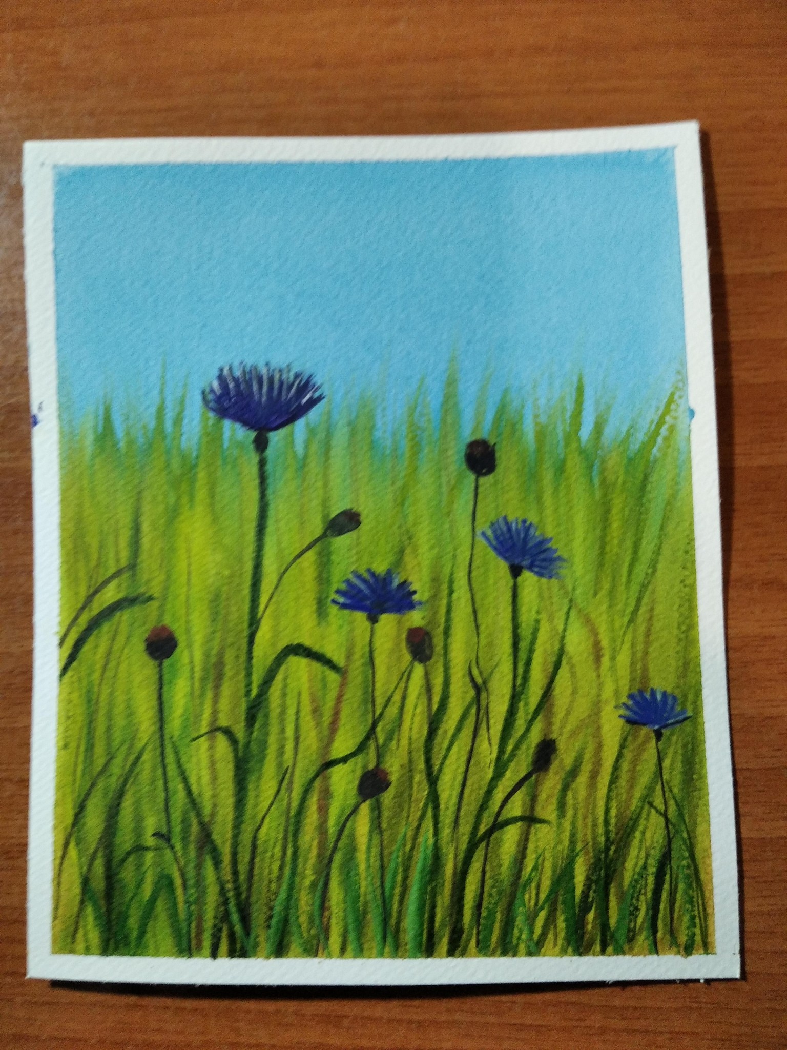 PINTEMOS LA PRIMAVERA¡¡¡ - image 4 - student project