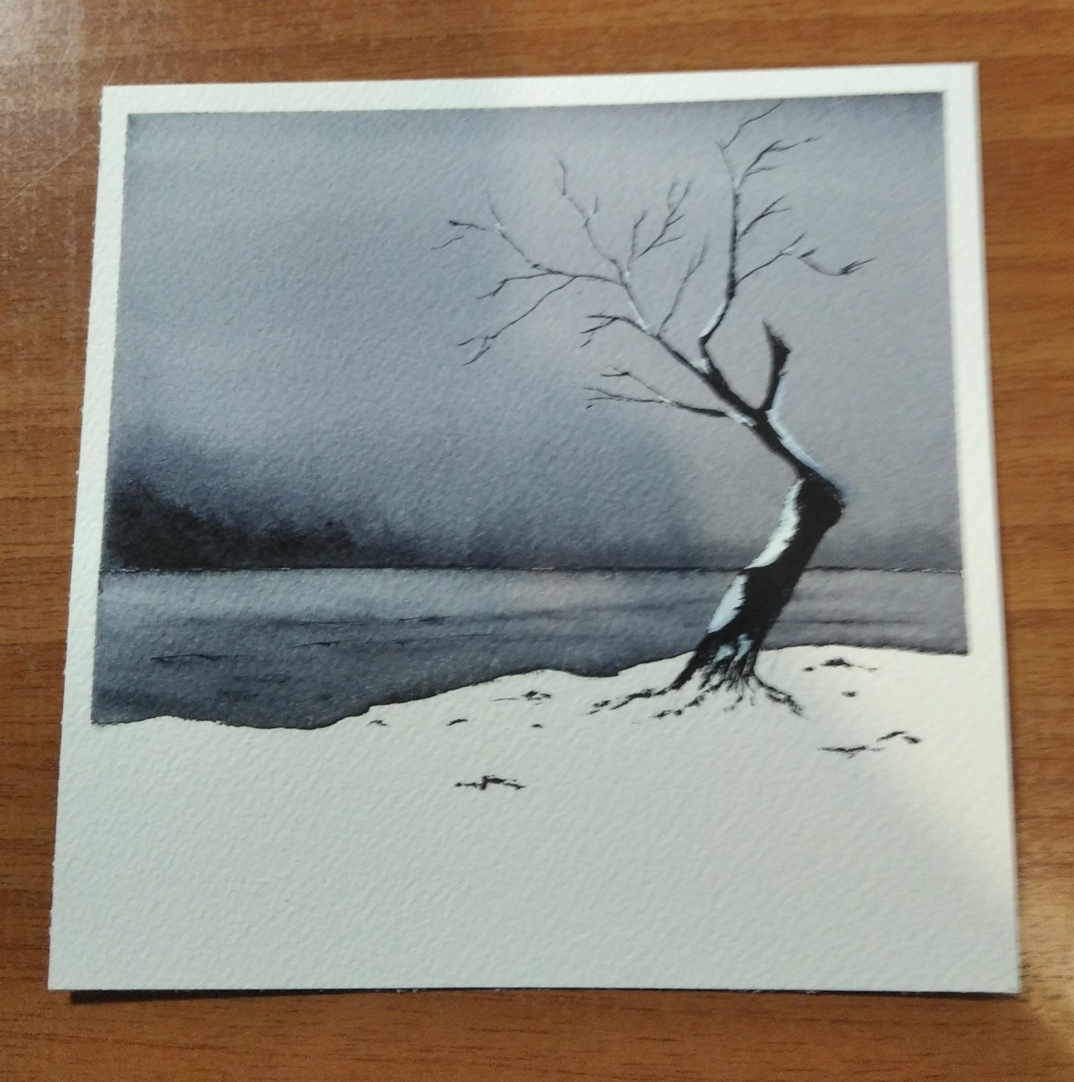 PAISAJES MONOCROMATICOS DE INVIERNO - image 6 - student project