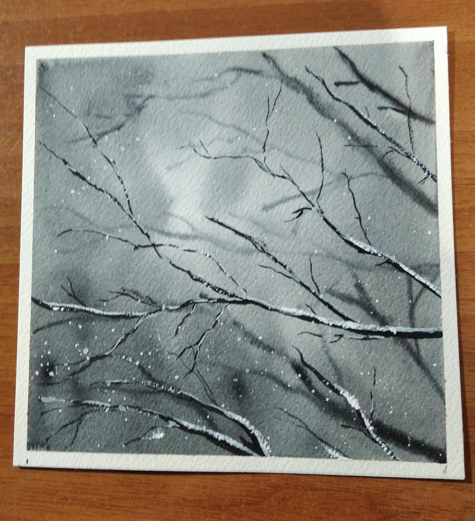 PAISAJES MONOCROMATICOS DE INVIERNO - image 5 - student project