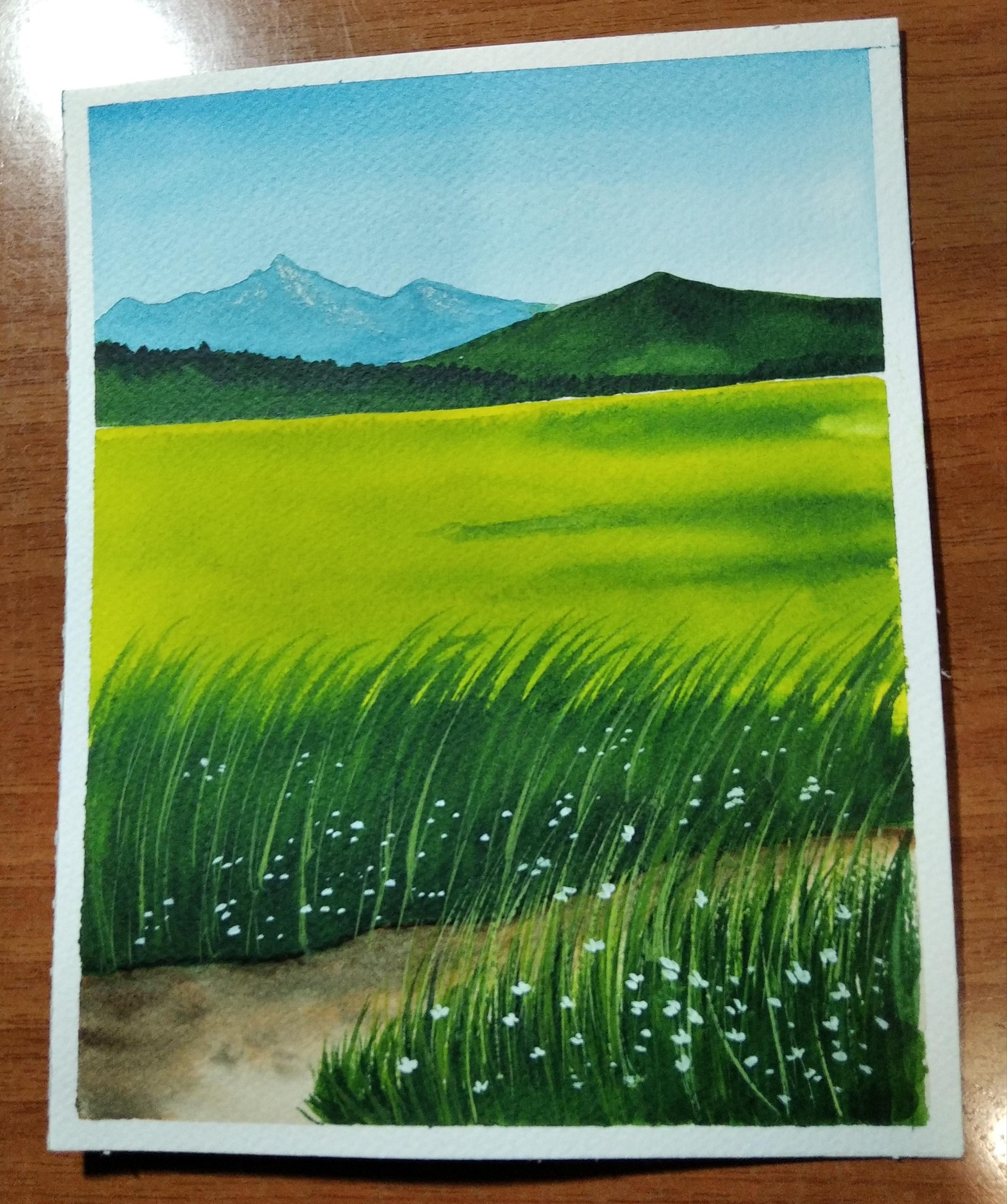 PINTEMOS LA PRIMAVERA¡¡¡ - image 12 - student project