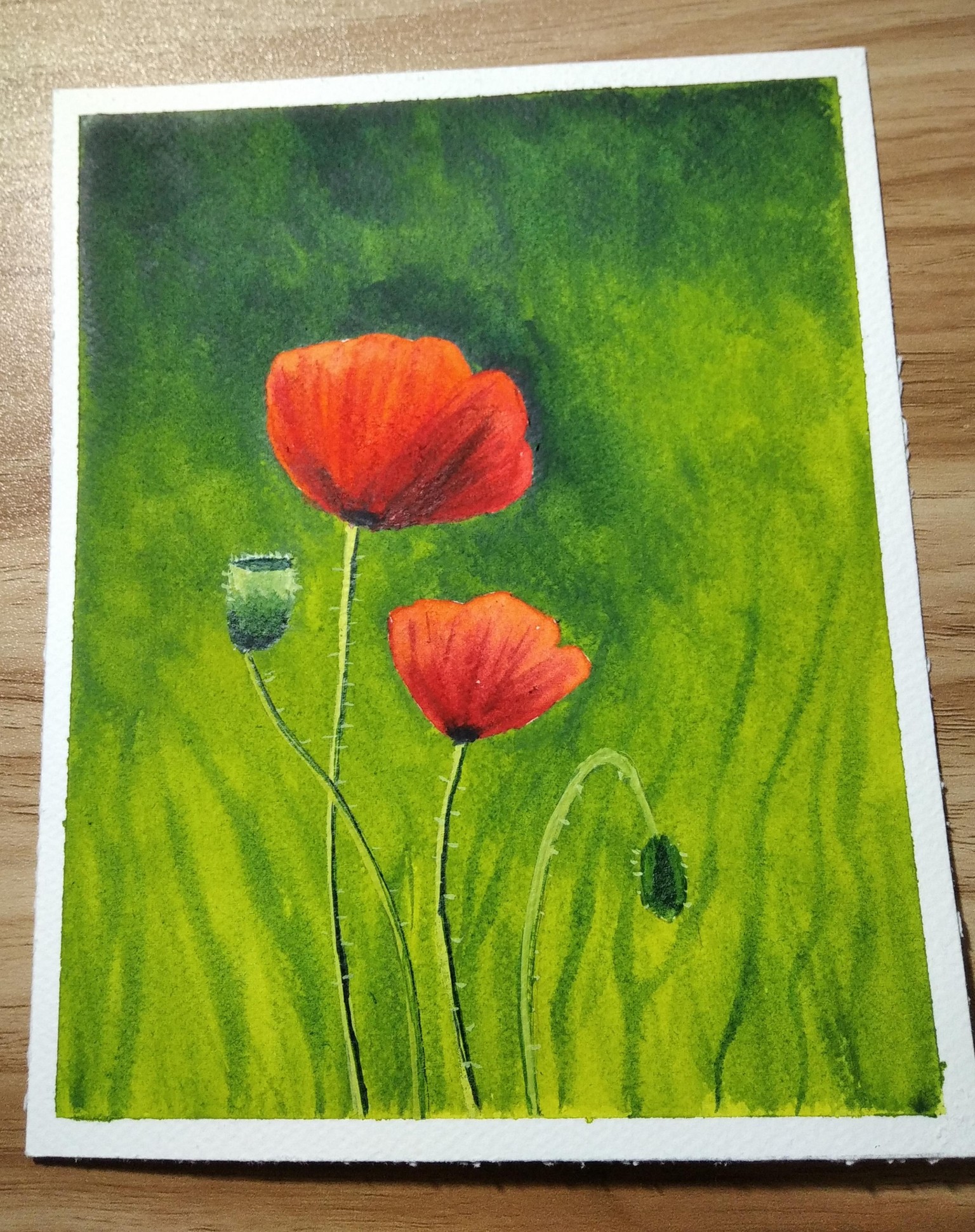PINTEMOS LA PRIMAVERA¡¡¡ - image 9 - student project