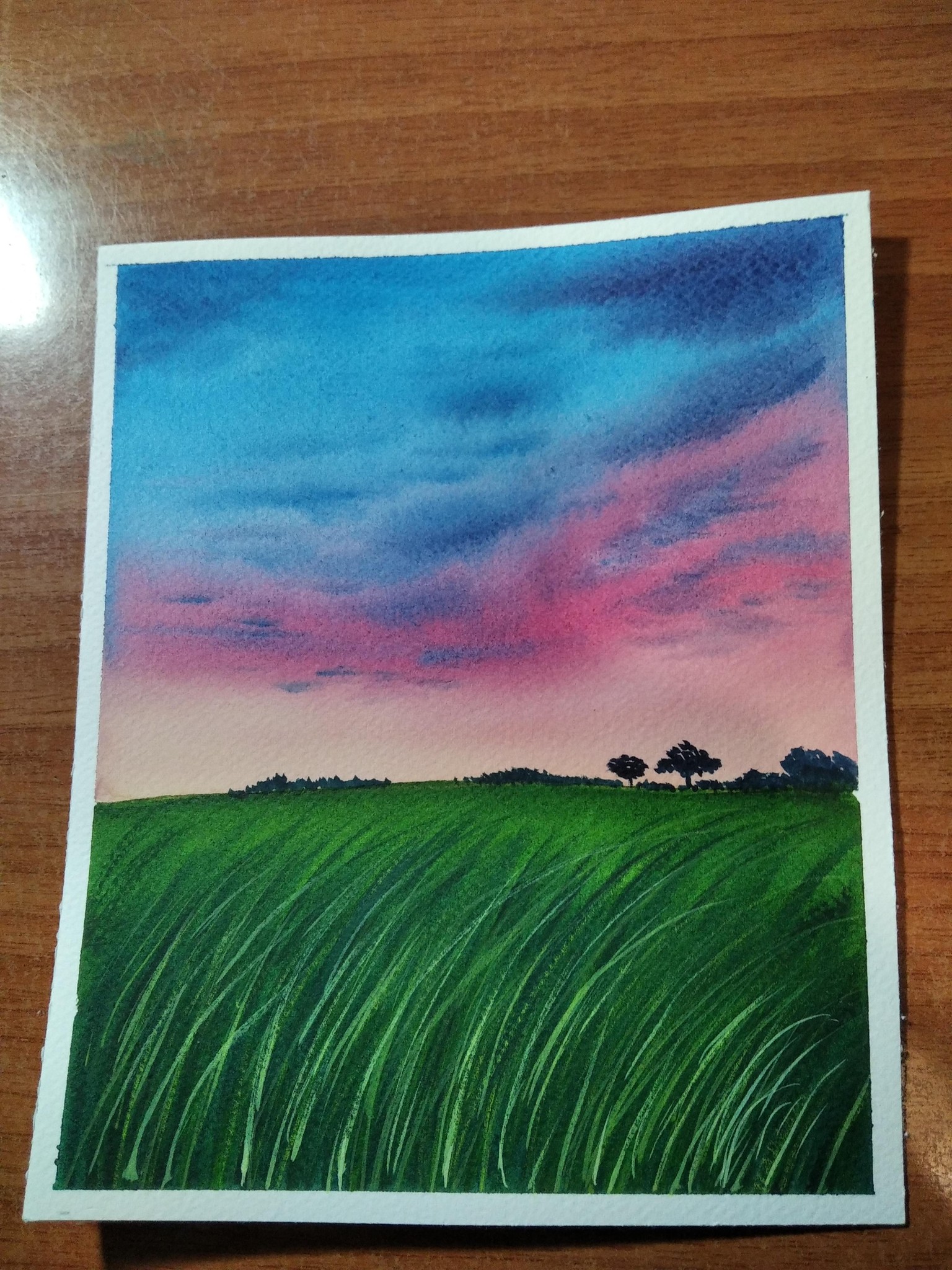 PINTEMOS LA PRIMAVERA¡¡¡ - image 5 - student project