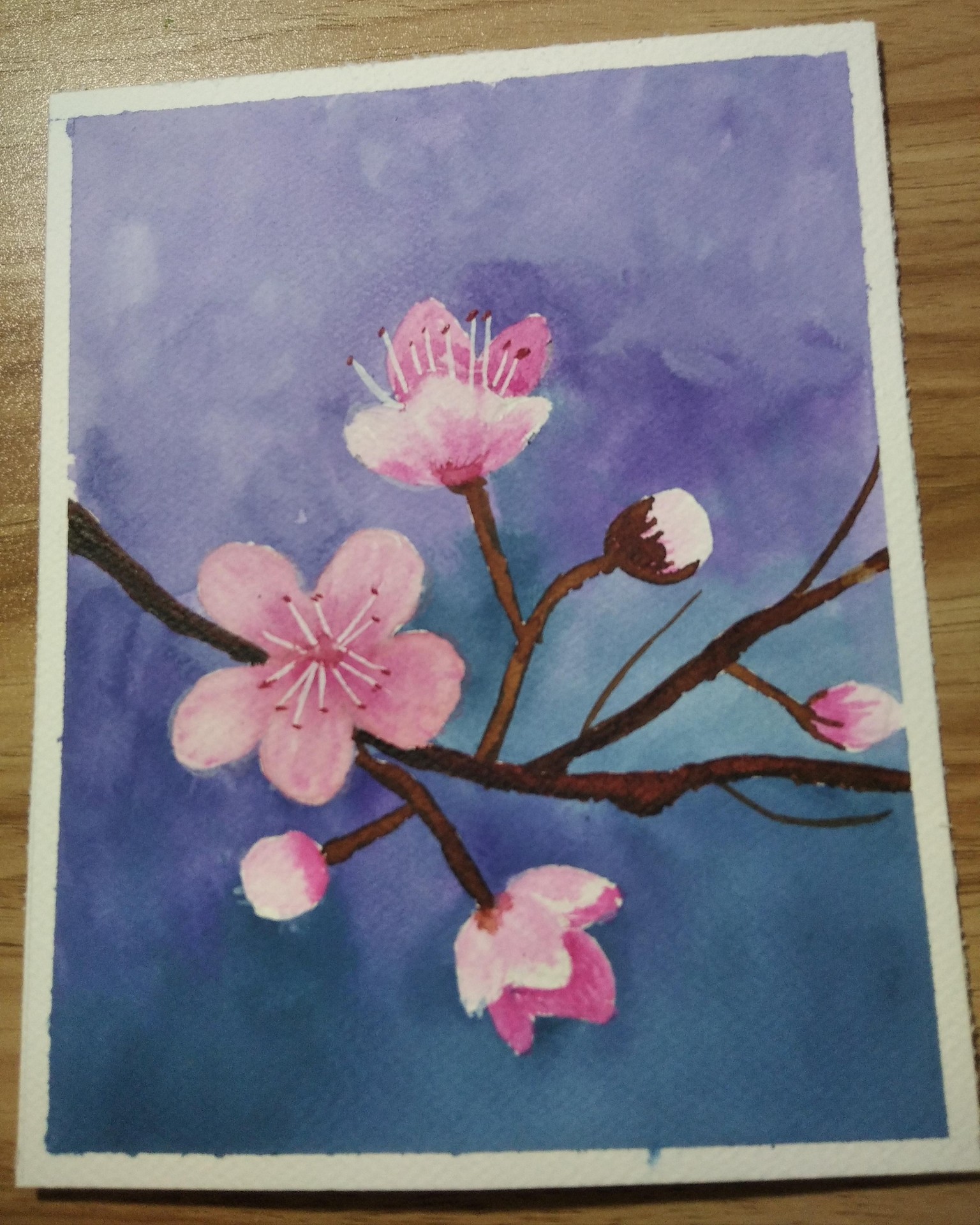 PINTEMOS LA PRIMAVERA¡¡¡ - image 20 - student project