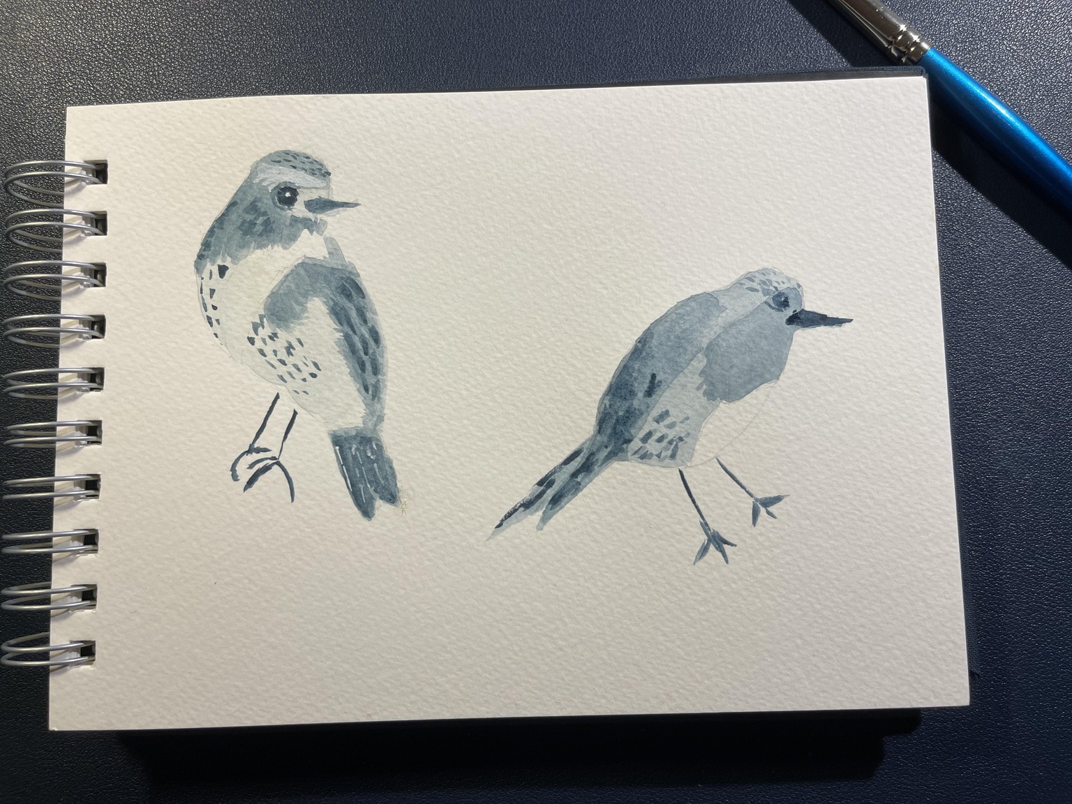 BIRDS - image 1 - student project