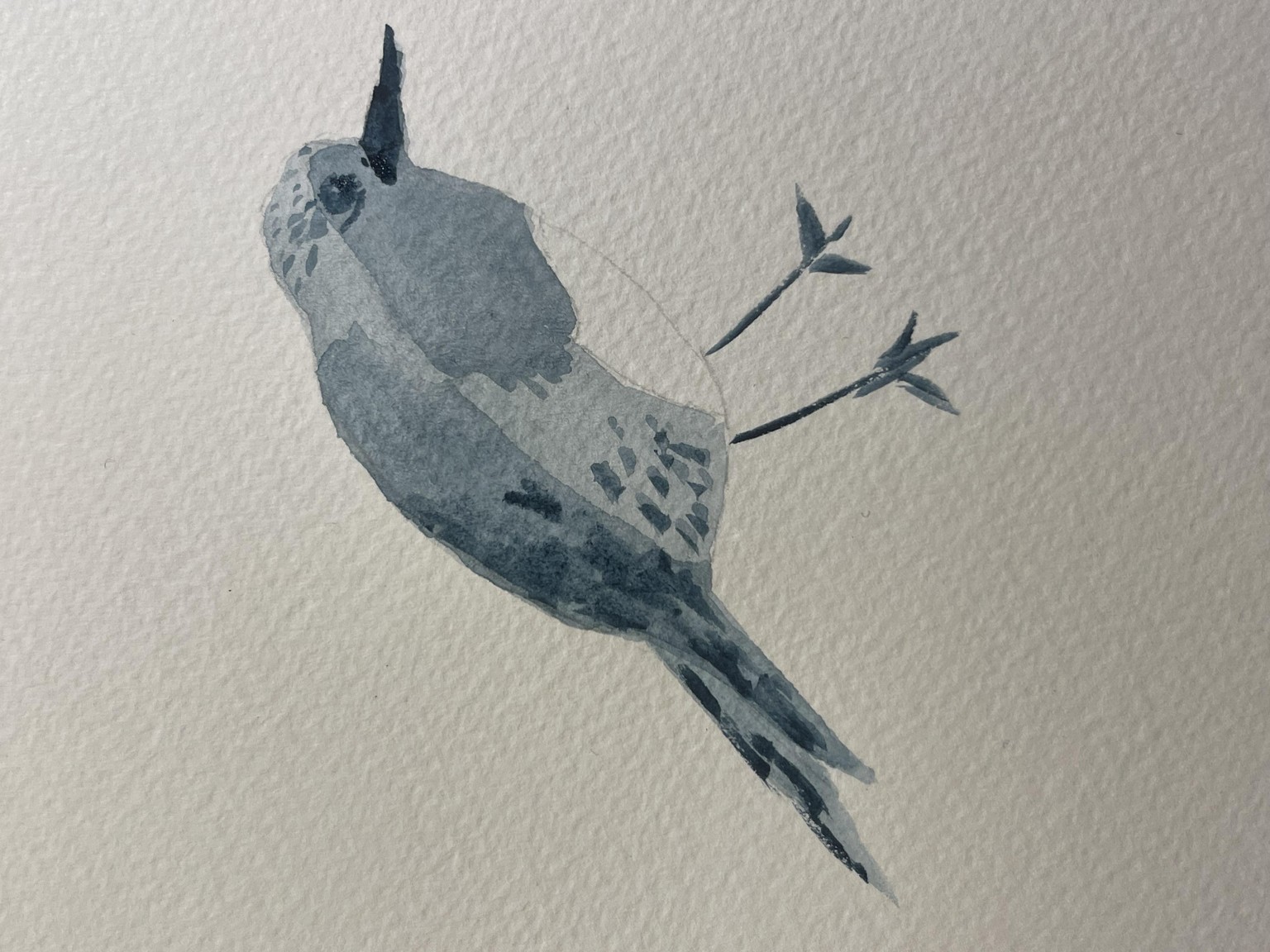 BIRDS - image 3 - student project