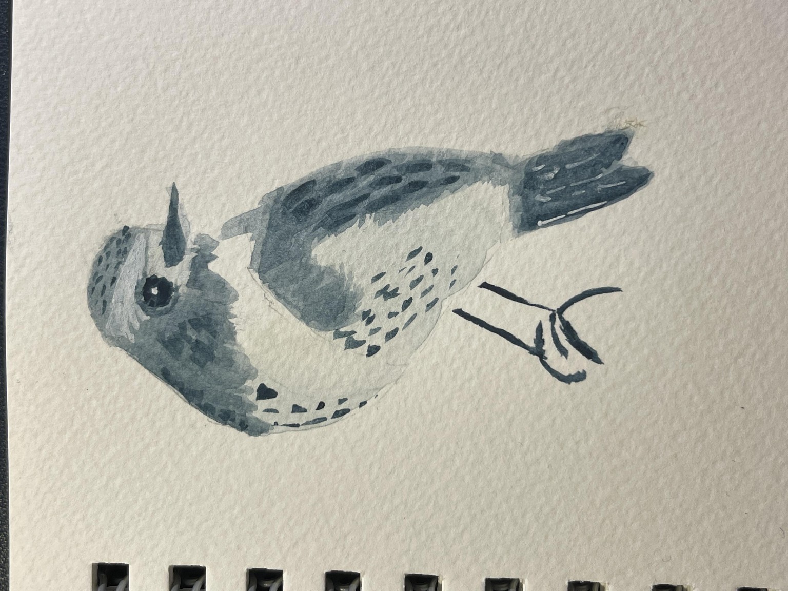 BIRDS - image 2 - student project
