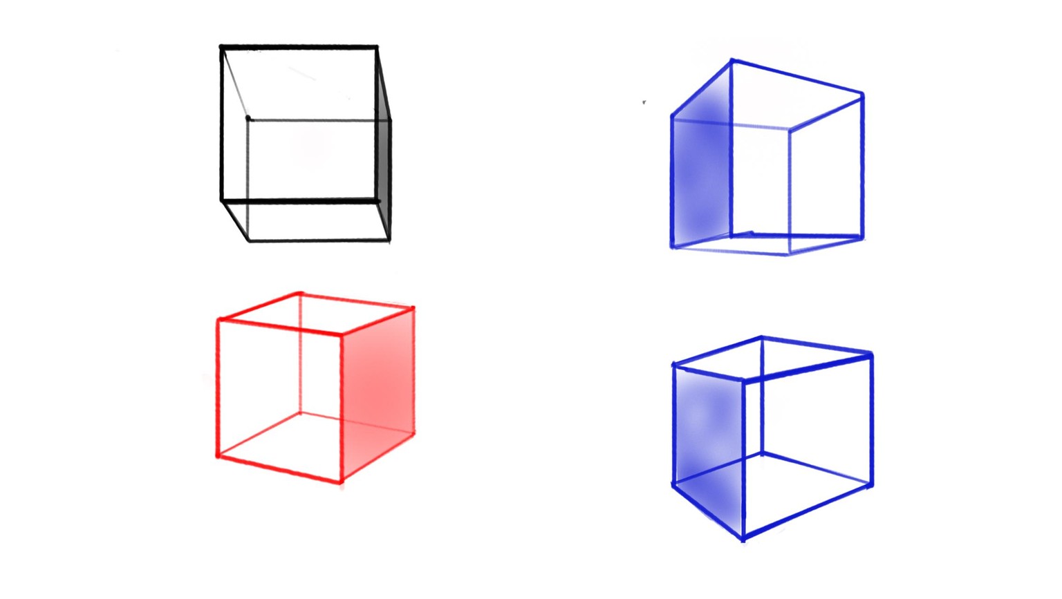 Thanks for these interesting lessons - image 2 - student project