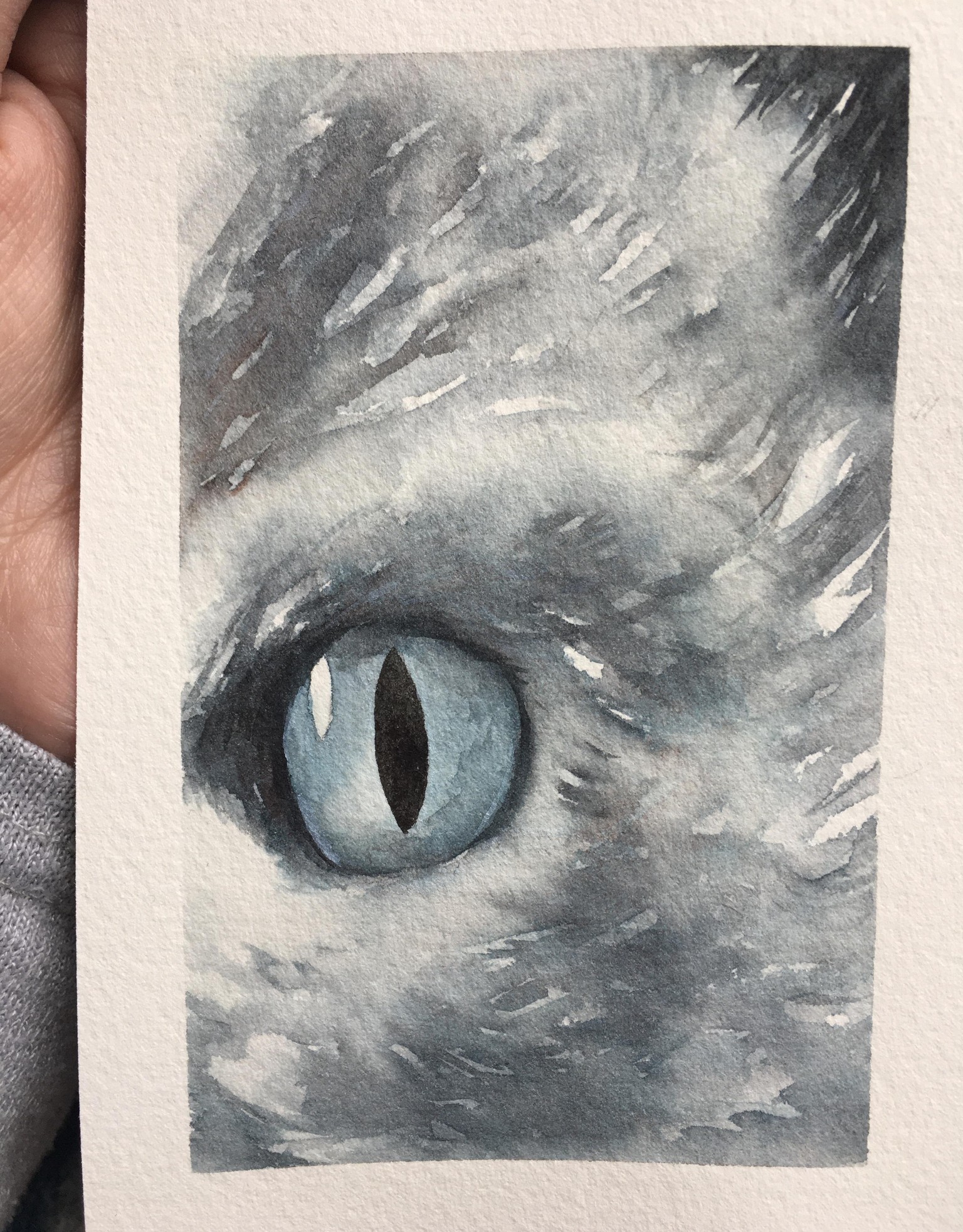 Fur Textures - In Progress - image 2 - student project
