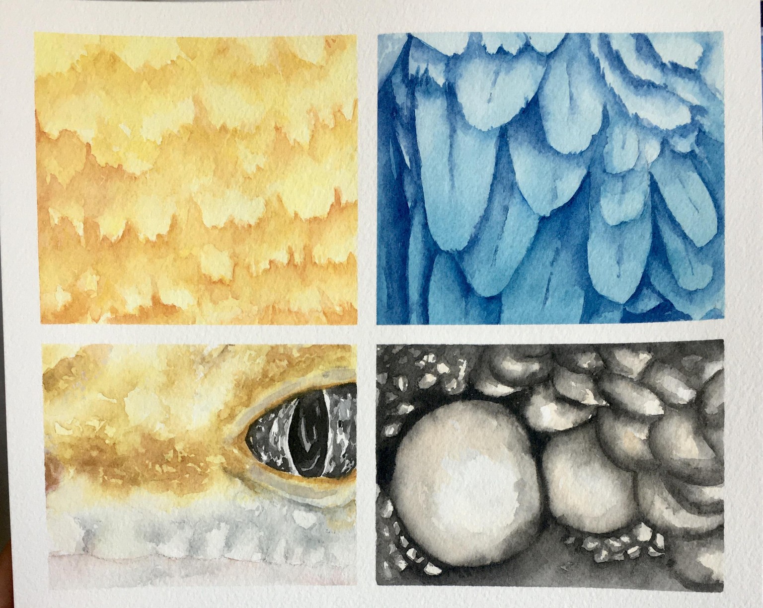 Fur Textures - In Progress - image 1 - student project