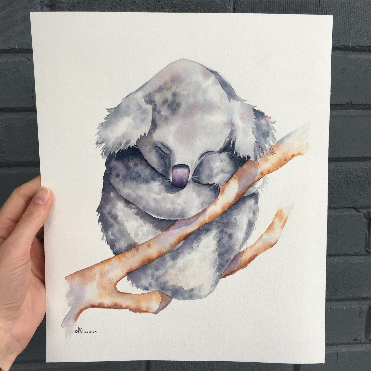 Koala Watercolor Painting - image 1 - student project