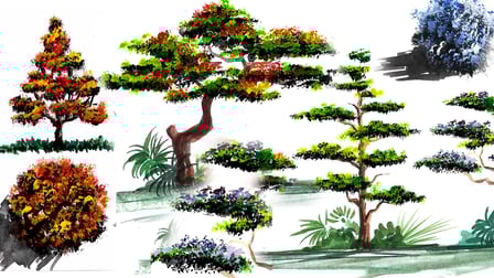 class image