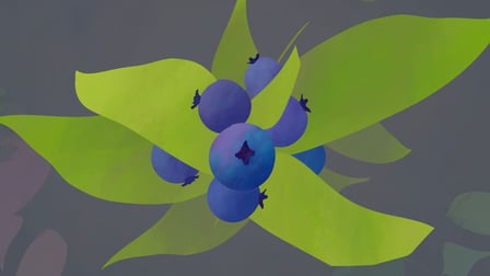 class image