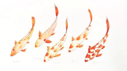 class image