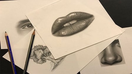 How to Draw Realism with Colored Pencils: Realistic Colored Pencil  Techniques — Art is Fun