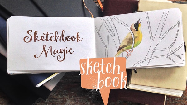 Sketchbook Magic I: Start and Feed a Daily Art Practice