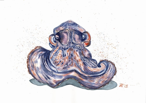 How to Sketch and Paint an Octopus with Granulating Watercolors