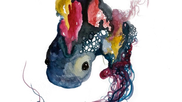 Unleash Your Creativity: Draw Without Fear in 5 Simple Exercises