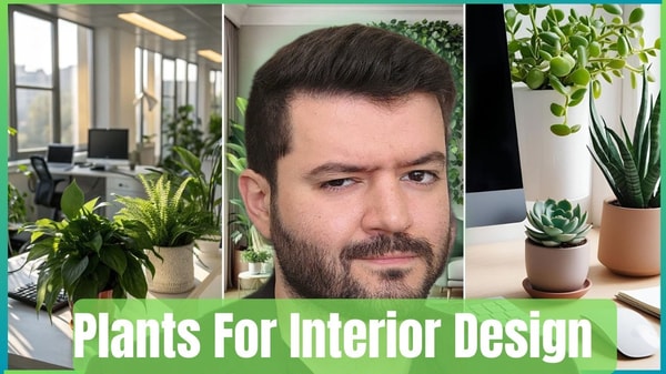 Interior Design With Plants: Understanding Plant Types for Stylish Interior Design Applications