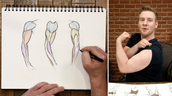 28-Day Drawing Challenge: Anatomy for Illustration and Comics
