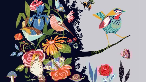 Gouache 101: How to Produce a Bold and Decorative Design