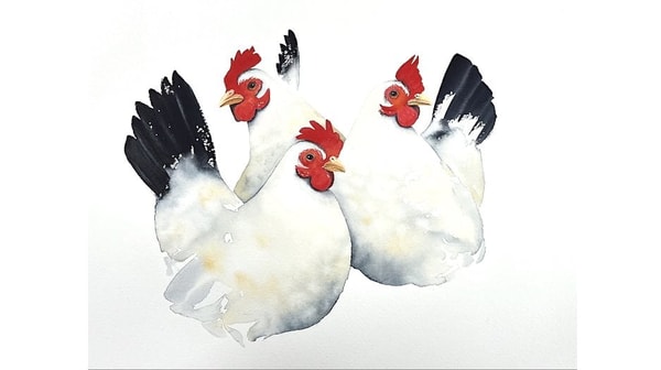 Watercolour Chickens - Balancing Loose Wet in Wet with Just Enough Detail to Make Happy Chooks